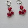 Red & Red Earrings